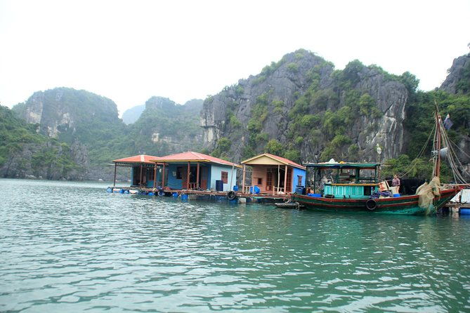 Bai Tu Long Bay Boutique Cruise: Visit Bai Tu Long bay & Overnight boat in 2 day - The Sum Up