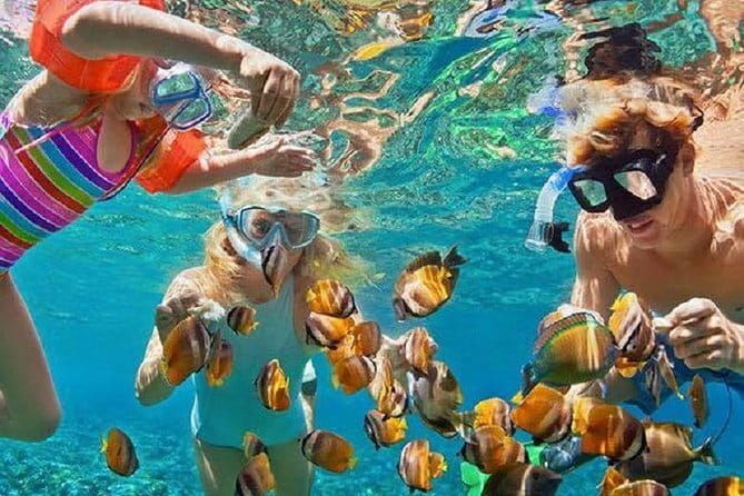 Bali : Blue Lagoon Snorkeling combine with Bali Swing in Ubud - Practical Tips for Enjoying the Tour