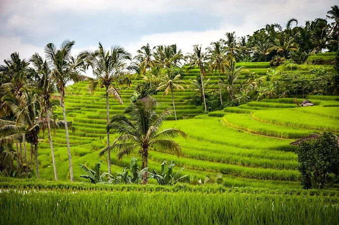 Bali Cheap Tour Packages 3 Days - Final Thoughts
