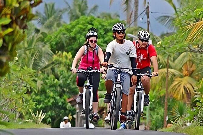 Bali Cycling and Ubud Tour Packages - Who Should Consider This Tour?