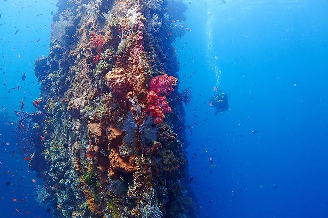 Bali Diving for Beginners: Tulamben Liberty Wreck - Frequently Asked Questions