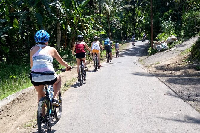 Bali Downhill Natural Cycling Tour & visit Volcano - Practical Tips for Travelers