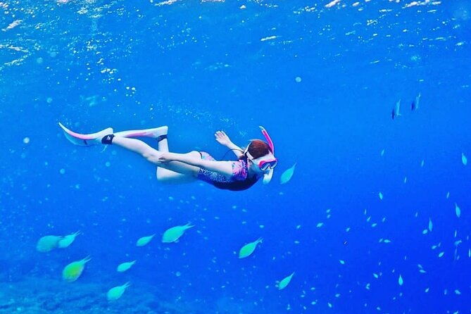 Bali Experience Blue lagoon snorkeling and hidden waterfall - Authentic Experiences and Review Insights