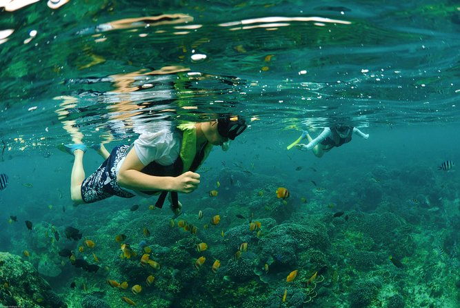 Bali Hai - Reef Cruise - FAQs