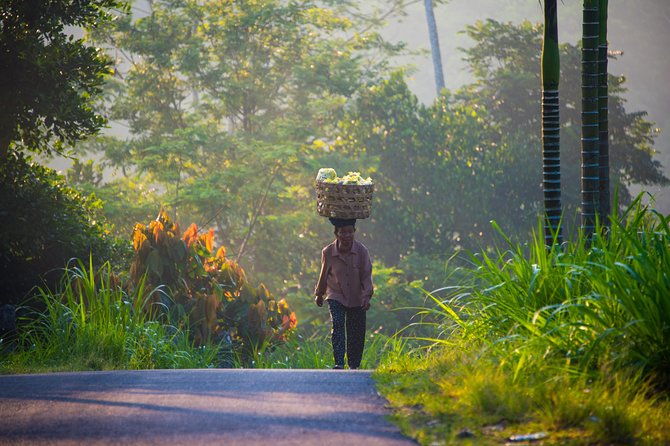 Bali Half Day Photography Tour - FAQ
