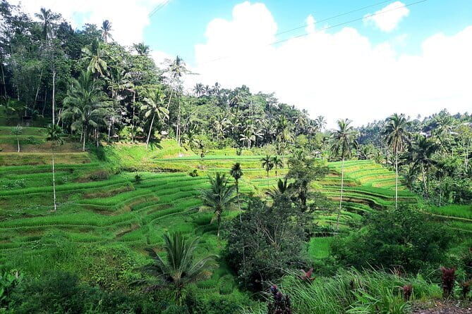 BALI INSTAGRAM TOURS; Heaven Gate, Tirta Gangga, Tukad Cepung waterfall - Frequently Asked Questions