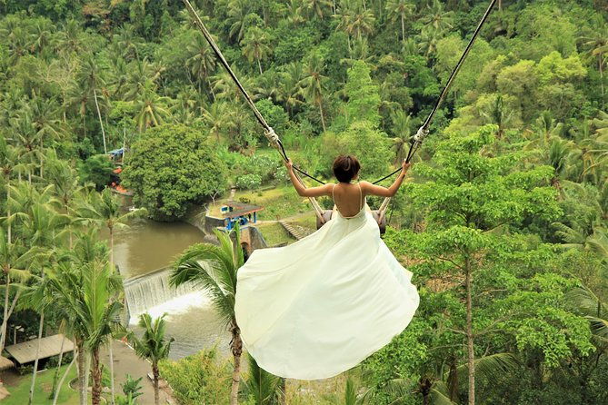 Bali Jungle Swing Experience Full Activity - Who Should Book This Tour?