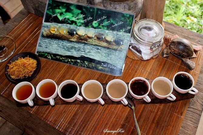 Bali Jungle Swing & Ubud Tour - The Sum Up: Is it Worth It?
