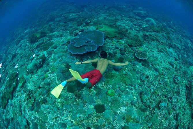 Bali Lembongan Island Beach Club Day Trip - Final Thoughts