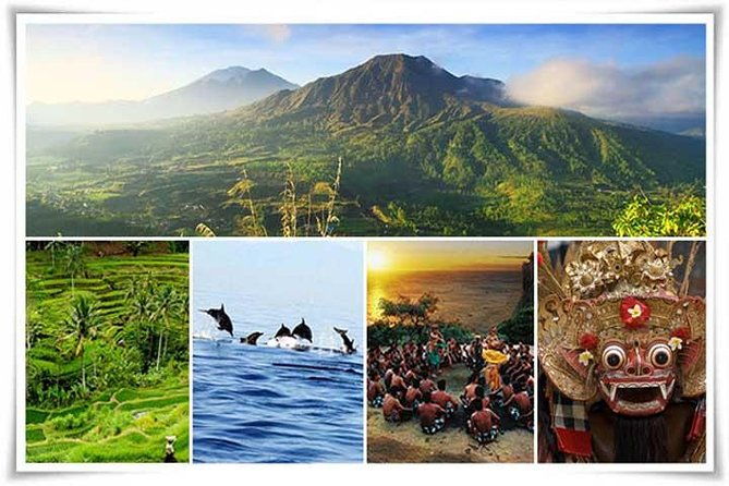 Bali Private Car or Minibus Charter With Driver - Who Should Book This Tour?