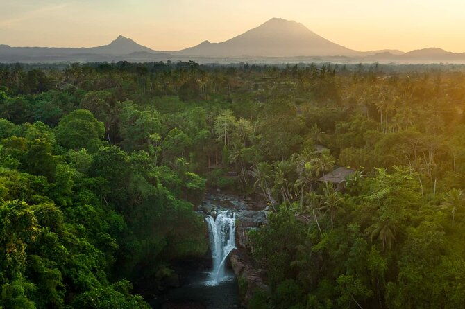 Bali Private Tour - Best of Ubud - All Inclusive - Practical Details