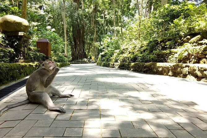 Bali Private Tour : Best Of Ubud & Volcano View With Jungle Swing - The Sum Up