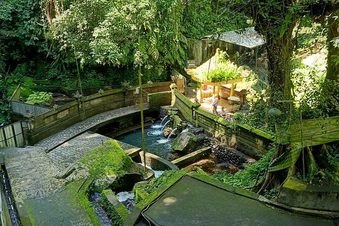 Bali Soul Retreat Cleansing and Mantra Healing - Who Will Love This Tour?
