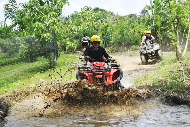 Bali Tour Customized with Private Tour Driver - Transportation and Cost-Effectiveness