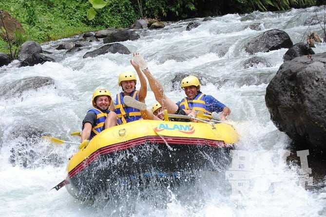 Bali Tour Driver - Who Will Love This Tour?