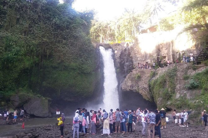 Bali Ubud Private Costomized Tour - Explore Bali your way - The Sum Up