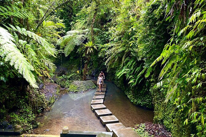 Bali : Ubud Private Tours - Who Would Love This Tour?