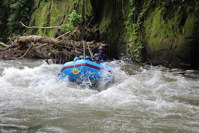 Bali Water Rafting with Lunch & Private Transfer - FAQ