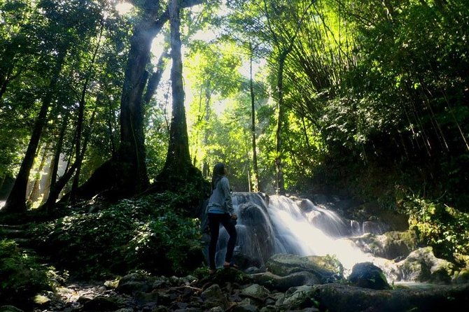 Bamboo Rafting and Jungle Tour From Phuket - Analyzing the Value