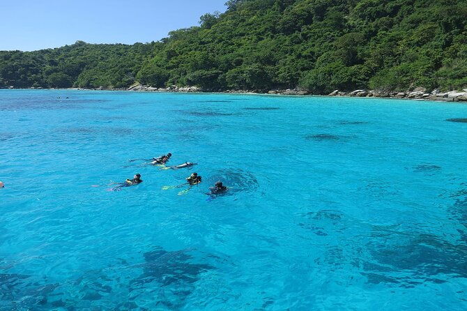 Banana Beach Day Trip  Your Everyday Escape - FAQ  