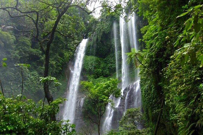 Banyuwana & Banyumala Waterfalls Tour (Private & All-Inclusive ) - Final Thoughts