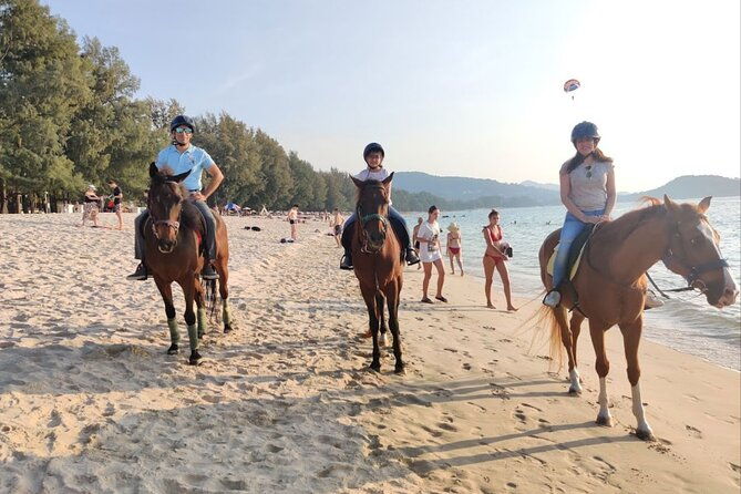 Beach Horse Riding Activity in Phuket - Authentic Insights from Reviews