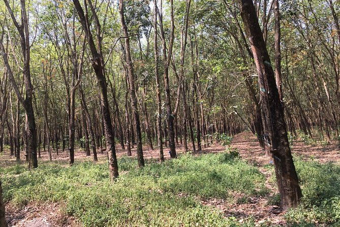 Ben Duoc - Authentic Cu Chi Tunnels Private Tour - Who Will Love This Experience?
