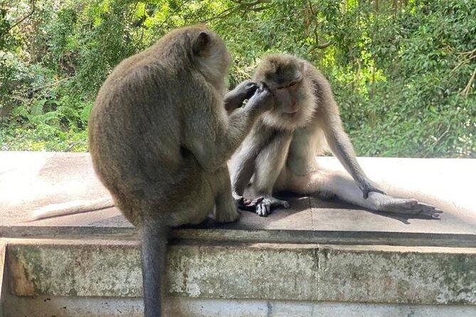 Best Bali Day Tour - Final Thoughts: Is This Tour Right for You?
