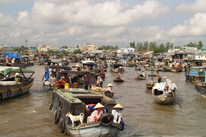 Best mekong delta bike tour - Who Is This Tour Best Suited For?