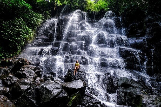 Best of Bali - Ubud Tour All-Inclusive Private Tour - Final Thoughts