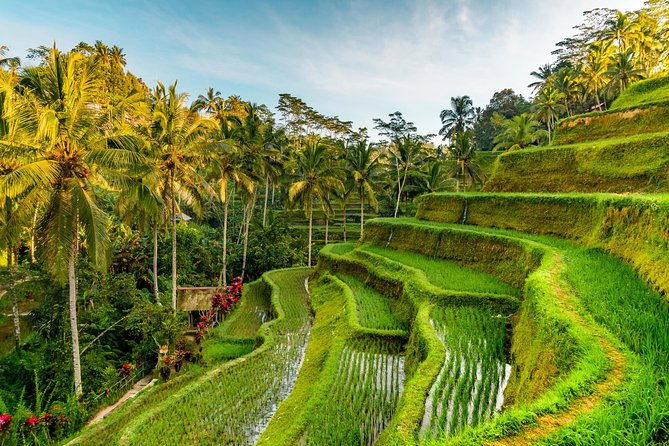 Best of Ubud Private Day Tour - FAQs