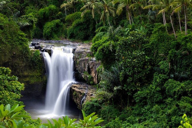 Best of Ubud: Rice Terrace, Temple and Waterfall Private Tour - FAQ