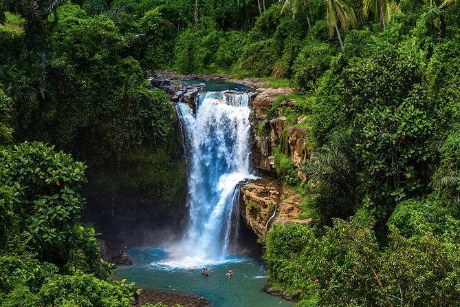 Best of Ubud Tours with Jungle Swing ( All Inclusive ) - Final Words