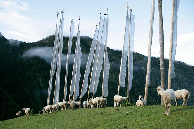 Bhutan-The Kingdom in the Sky ( 12 Nights 13 Days ) - Final Thoughts