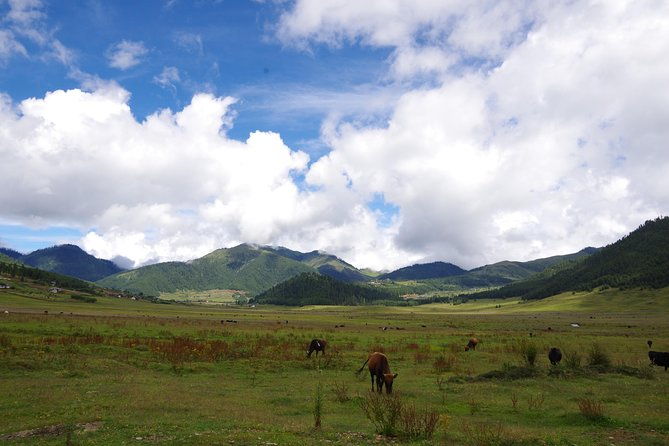 Bhutan Vacation (5 Nights-6 Days) - Final Thoughts