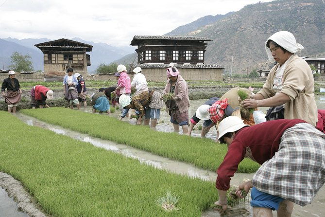 Bhutan Walking Holidays - Beyond the Clouds - FAQ