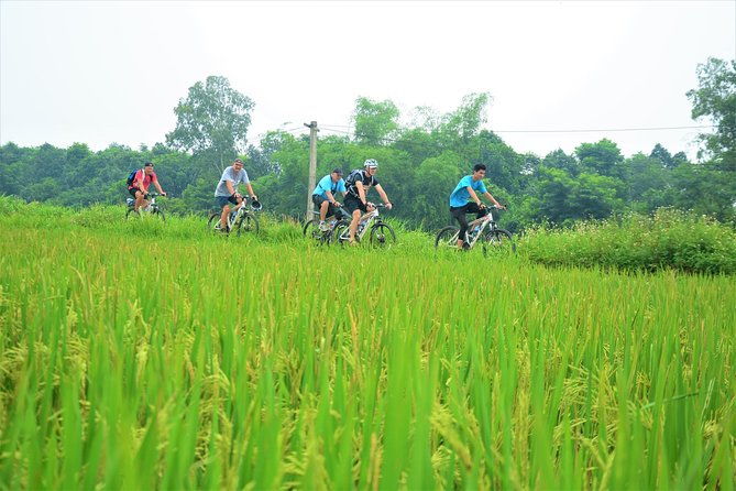 Bicycle Tours Hanoi: Full Day Bicycle Tour Hanoi Countryside - The Sum Up