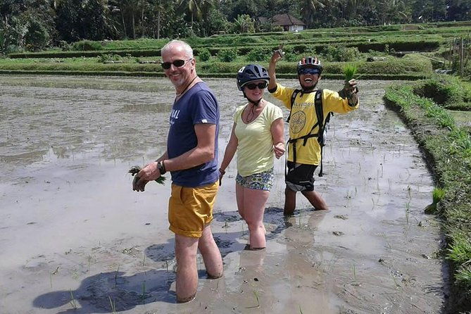 Bike ride in the rice fields, Bali countryside - Who Will Love This Tour?