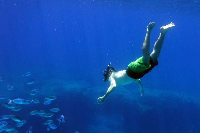 Blow Lagoon Bali Snorkeling and see Bali Bats Cave Temple - Authentic Experiences and Feedback