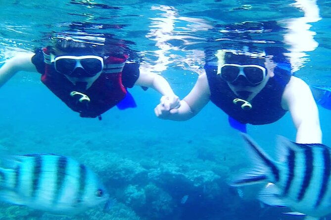 Blue lagoon and tanjung jepun snorkling all inclusive - The Sum Up