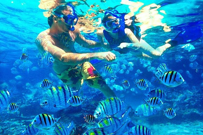 Blue Lagoon Snorkeling and Lunch - Ubud Monkey Forest - Waterfall - FAQ