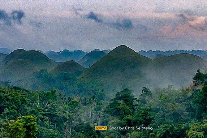 BOHOL Tour 2025 - Chocolate Hills, Tarsier and River Cruise Lunch - The Sum Up