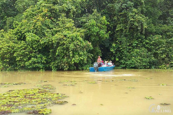 Borneo Kinabatangan River Cruise Day Trip - Who Will Love This Tour?