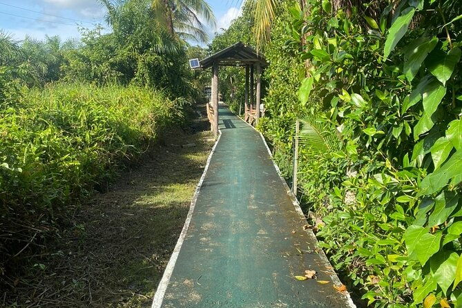 Borneo (Klias) River Cruise & Fireflies Tour - Final Thoughts