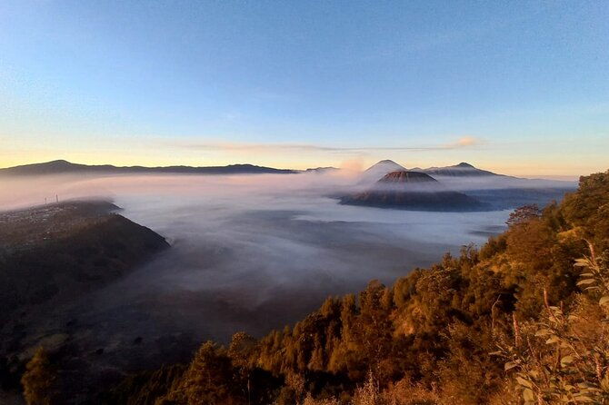 Bromo Ijen Tour From Bali - Authentic Reviews and Practical Insights