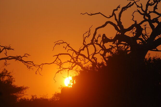 Bundala Birds Safari by Jeeps - FAQ