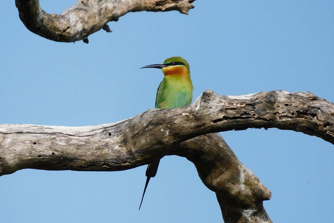Bundala National Park Safari (PRIVATE TOURS)- Morning & Afternoon - FAQs