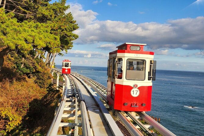 Busan Private Tour with an official tour guide - Final Thoughts: Who Will Love This Tour?