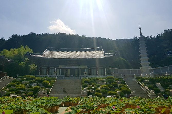 Busan Shore Excursion Tour with Gamcheon Culture Village - FAQ