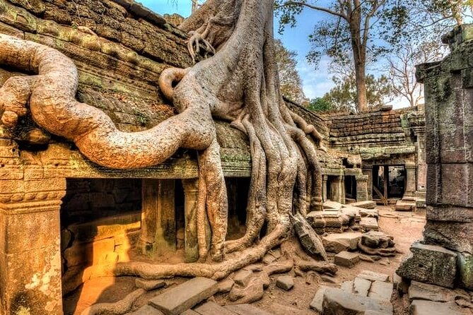 Cambodia Highlight 6 Days Tour from Siem Reap to Phnom Penh - Final Thoughts